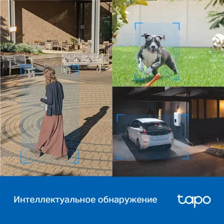 Камера TP-Link Tapo C520WS (арт. Tapo C520WS)