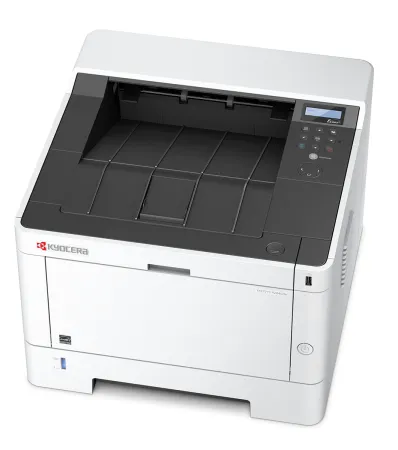Принтер лазерный черно-белый Kyocera ECOSYS P2040dn (арт. 1102RX3NL0)