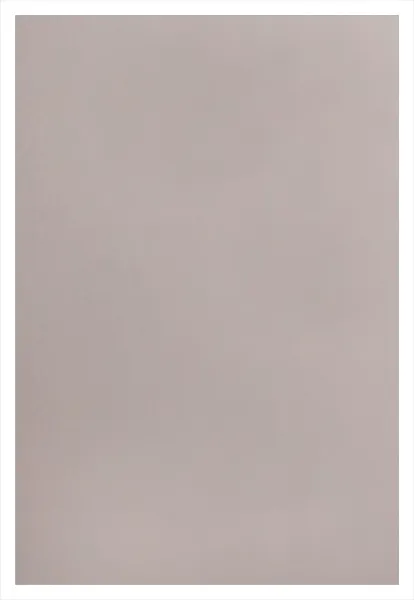 Обложка для переплета Реалист ПП, матовые А4, 0,40мм, прозрачные/дымчатые (50 шт.) (арт. 5440)