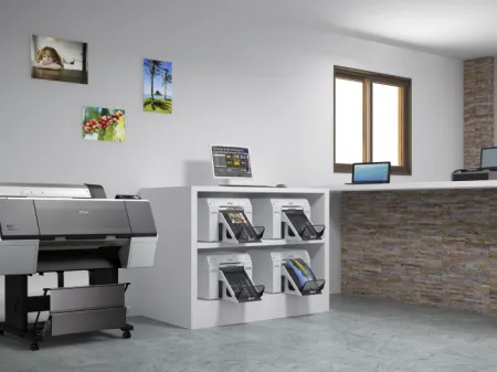 Струйная фотолаборатория Epson SureLab SL-D800 Media Bundle (арт. C11CH75301XX)