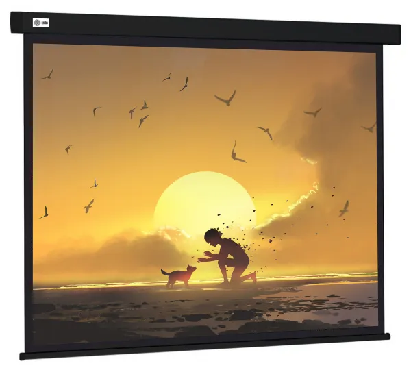 Экран Cactus Wallscreen (150x150см) (арт. CS-PSW-150X150-BK)