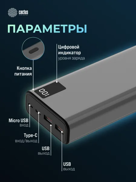 Мобильный аккумулятор Cactus (20000mAh, 4.5A, 2xUSB-A/USB-C, серый) (арт. CS-PBFSFA-20000)