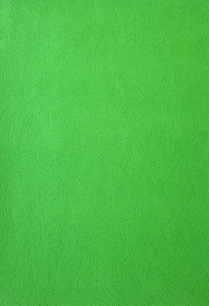 Картонные обложки для брошюровки Реалист кожа, А4, зеленые (100 шт.) (арт. 3911)