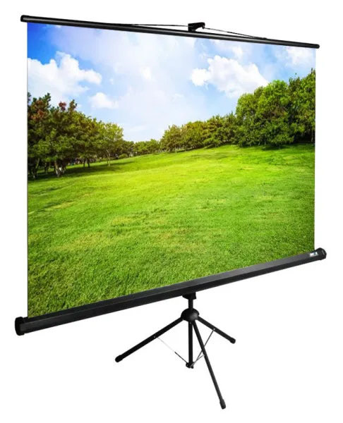 Экран Cactus TriExpert (150x200см) (арт. CS-PSTE-200X150-BK)