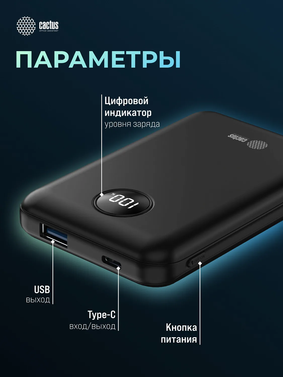 Мобильный аккумулятор Cactus (10000mAh, 22.5W, 4.5A, USB-A/USB-C, черный) (арт. CS-PBFSOA-10000)