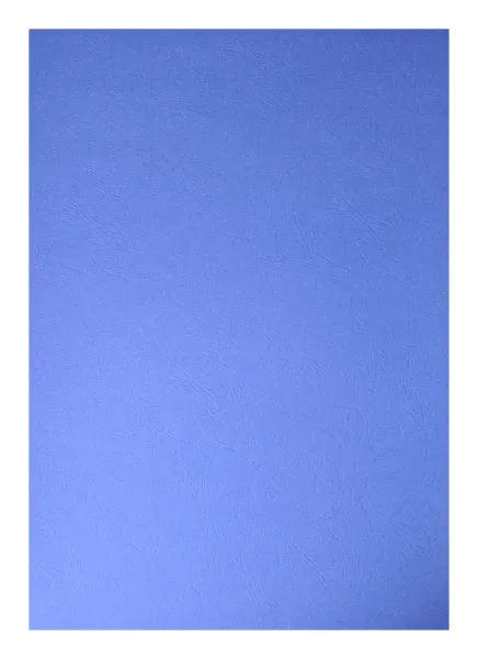 Картонные обложки для брошюровки Реалист кожа, А3, синие (100 шт.) (арт. 3914)