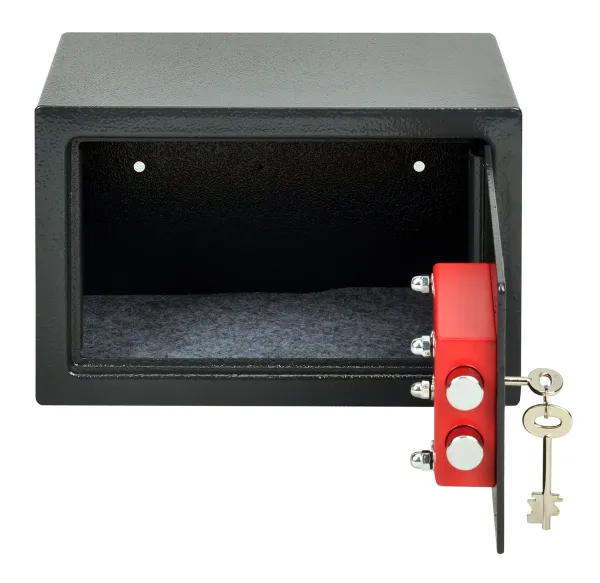 Сейф мебельный Cactus (200x310x200мм) (арт. CS-SF-K20)