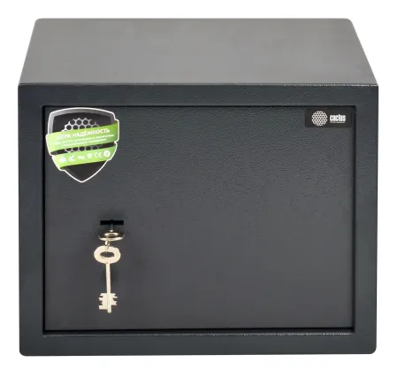 Сейф мебельный Cactus (300x380x300мм) (арт. CS-SF-K30)