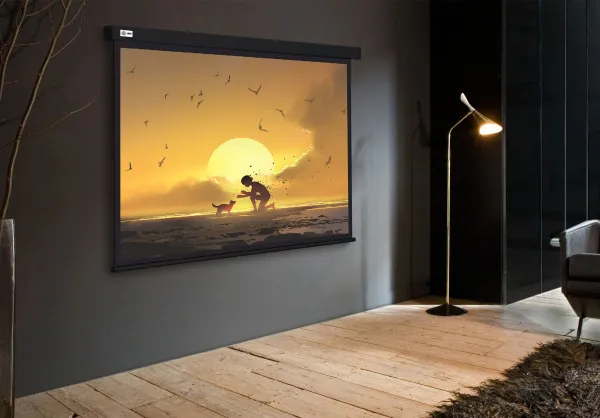 Экран Cactus Wallscreen (150x150см) (арт. CS-PSW-150X150-BK)