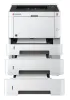 Принтер лазерный черно-белый Kyocera ECOSYS P2040dn (арт. 1102RX3NL0)