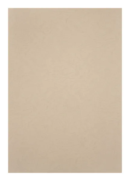 Картонные обложки для брошюровки Реалист кожа, А3, бежевые (100 шт.) (арт. 3901)