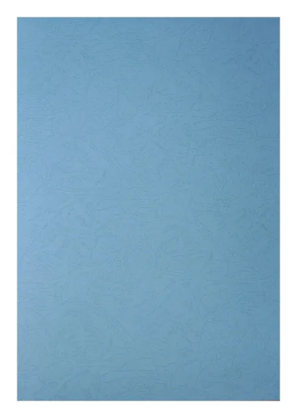 Картонные обложки для брошюровки Реалист кожа, А3, темно-бирюзовые (100 шт.) (арт. 3908)