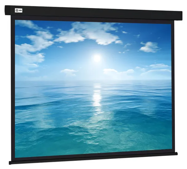 Экран Cactus Wallscreen (104.6x186см) (арт. CS-PSW-104X186-BK)