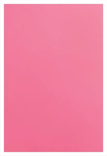 Обложка для переплета Реалист ПП, матовые А4, 0,40мм, прозрачные/розовые (50 шт.) (арт. 4531)