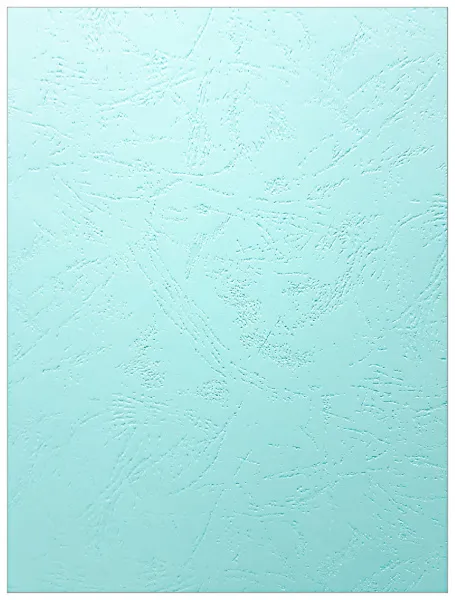 Картонные обложки для брошюровки Реалист кожа, А4, бирюзовые (100 шт.) (арт. 3898)