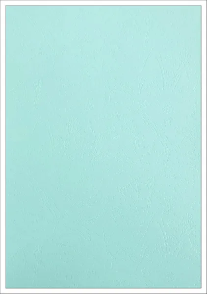 Картонные обложки для брошюровки Реалист кожа, А3, светло-голубой (100 шт.) (арт. 8662)