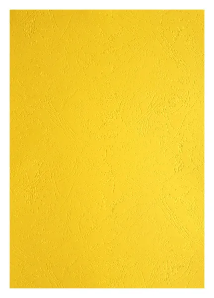 Картонные обложки для брошюровки Реалист кожа, А4, желтые (100 шт.) (арт. 3904)