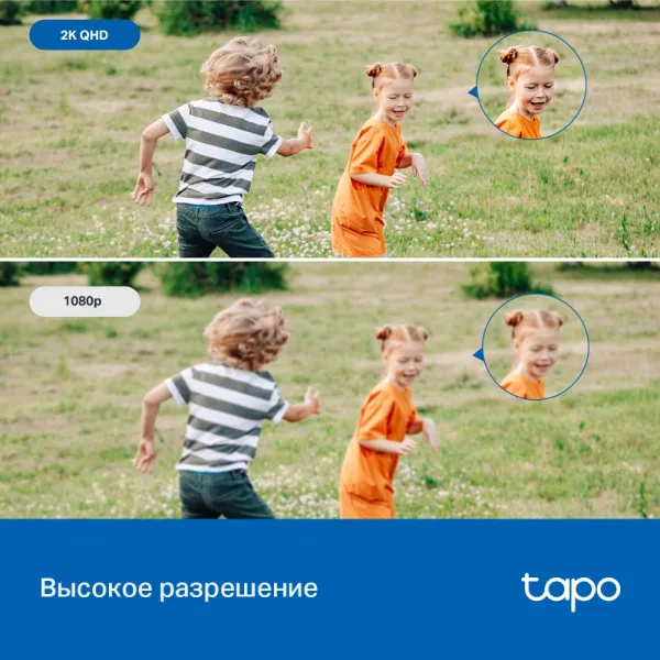 Камера TP-Link Tapo C520WS (арт. Tapo C520WS)