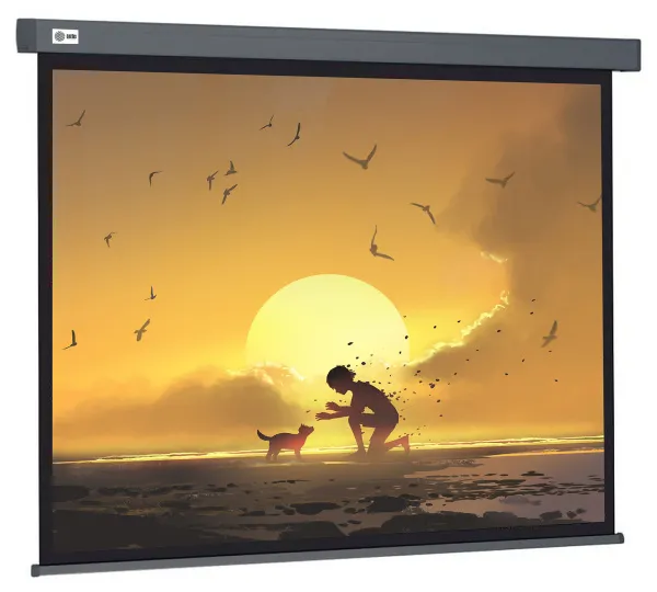 Экран Cactus Wallscreen (124.5x221см) (арт. CS-PSW-124X221-SG)