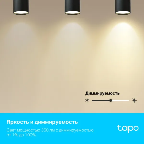 Умная Wi-Fi лампа TP-Link Tapo L630 (арт. Tapo L630)