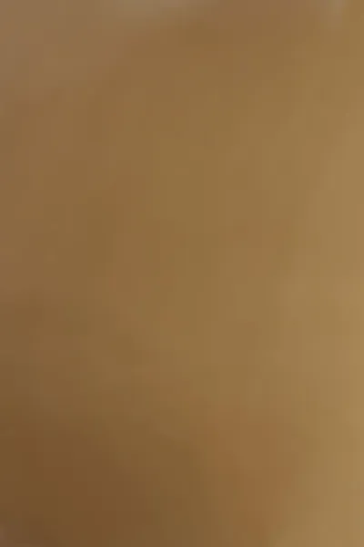 Обложка для переплета Реалист ПВХ, А4, 0,20мм, прозрачные/коричневые (100 шт.) (арт. 4416)