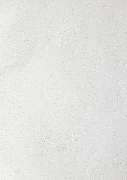 Картонные обложки для брошюровки Реалист кожа, А4, белые (100 шт.) (арт. 3891)