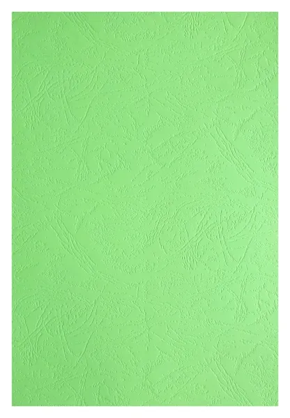 Картонные обложки для брошюровки Реалист кожа, А4, светло-зеленые (100 шт.) (арт. 3896)