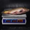 Торговые настольные весы Mertech M-ER 329 AC-15.2 IP67 ″Fisher″ LED (арт. 3175)