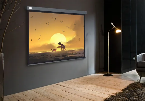 Экран Cactus Wallscreen (124.5x221см) (арт. CS-PSW-124X221-SG)