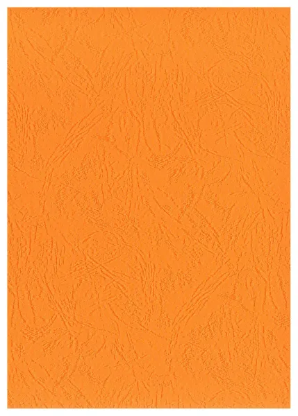 Картонные обложки для брошюровки Реалист кожа, А4, оранжевые (100 шт.) (арт. 3906)