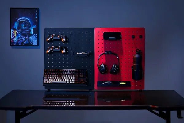 Органайзер Cactus (черный/красный) (арт. CS-PEGB-RDBK)