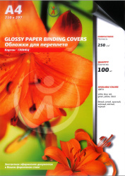 Картонные обложки для брошюровки Реалист глянец, А4, черные (100 шт.) (арт. 4515)