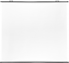 Экран Cactus 1:1, 180x180 см (арт. CS-PSRM-180x180-BK)