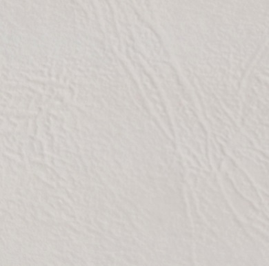 Бумага Xerox Leather Embossed White, SRA3, 240 г/м2 (арт. 450L80007)