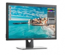 Монитор Dell (арт. 3017-4879)