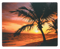 Коврик для мыши Fellowes ПАЛЬМА (арт. FS-58750)