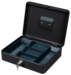 Ящик для денег Cactus (90x300x240) (арт. CS-CB-004)