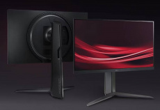 Монитор LG 24GS65F-B (арт. 24GS65F-B.ARUZ)