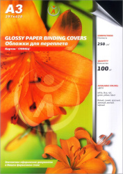 Картонные обложки для брошюровки Реалист глянец, А3, черные (100 шт.) (арт. 5413)