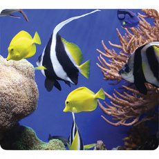 Коврик для мыши Fellowes РЫБКИ (арт. FS-59093)