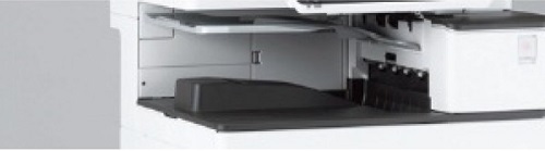 Разделительный лоток (125 листов) Ricoh BN3110 (арт. 417585)