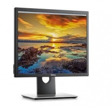 Монитор Dell (арт. 1917-4503)