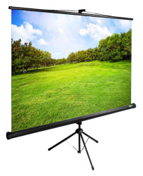 Экран Cactus TriExpert (150x200см) (арт. CS-PSTE-200X150-BK)