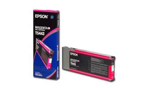 Картридж Epson T5443 (арт. C13T544300)