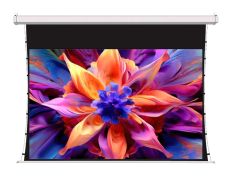 Экран для проектора Sakura Printing SCPSMT-221x125ED30-GR 100", серый, ED30 см (арт. SCPSMT-221x125ED30-GR)