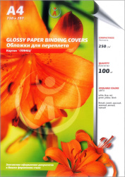 Картонные обложки для брошюровки Реалист глянец, А4, белые (100 шт.) (арт. 4513)