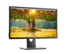 Монитор Dell (арт. 2417-4619)