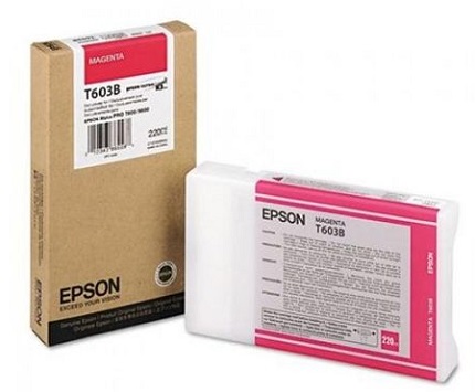 Картридж Epson T603B (арт. C13T603B00)