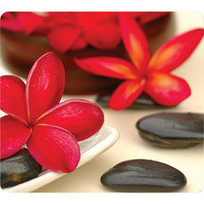 Коврик для мыши Fellowes ЦВЕТЫ и КАМНИ (арт. FS-59046)