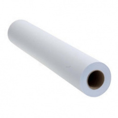 Холст Epson WaterResistant Matte Canvas Roll, 17" x 2,1 m, 375g/m² (арт. C13S042011)